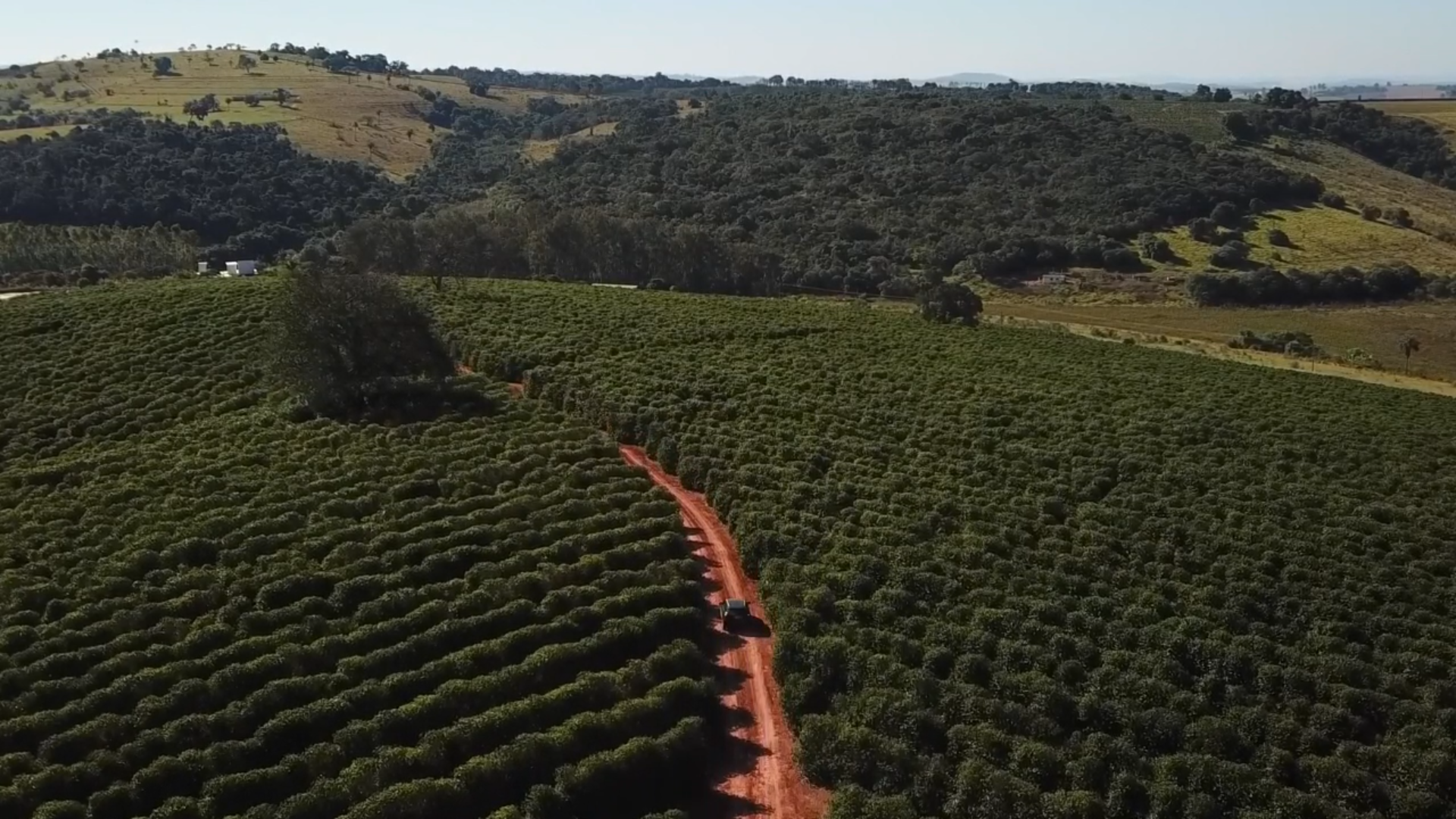 圣莫尼卡咖啡庄园